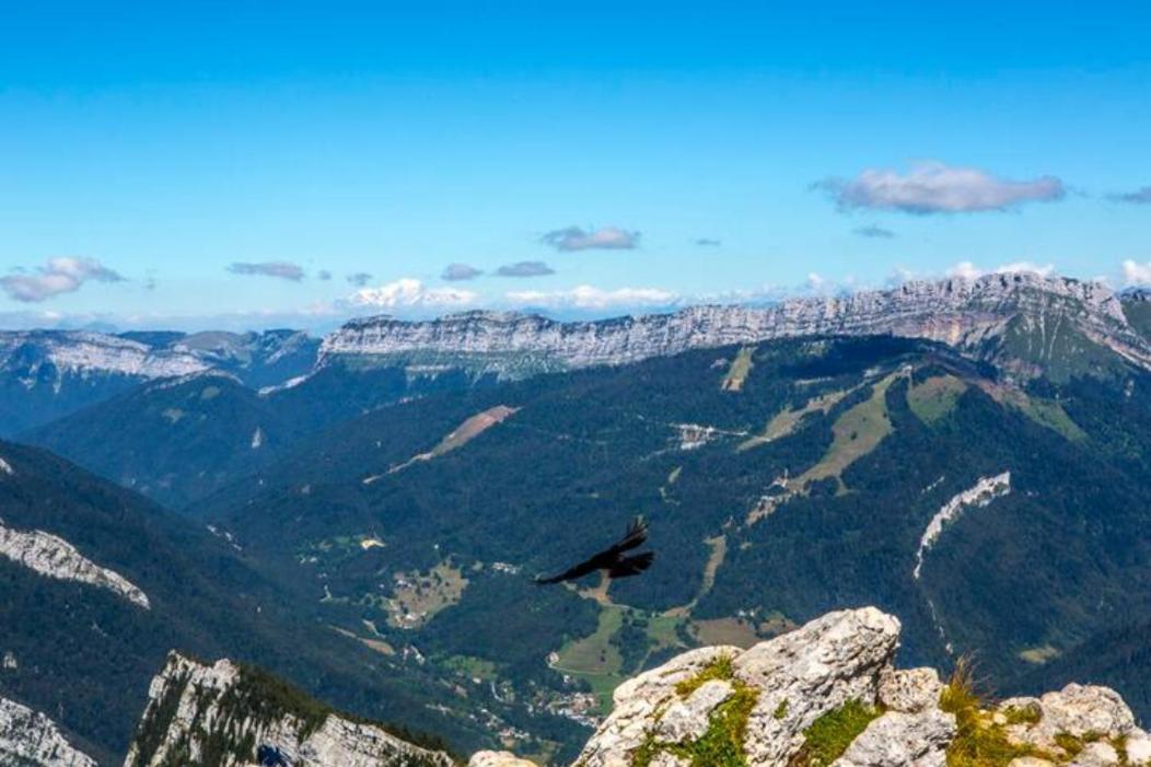 Le Mas Dauphinois Bed and Breakfast Le Grand-Lemps Esterno foto